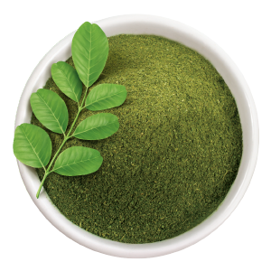 Moringa Essential Oil