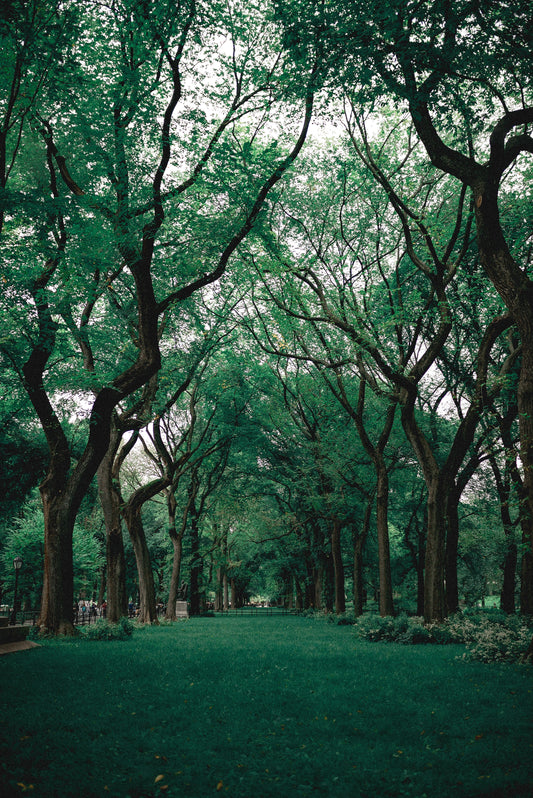 The Enigmatic Dance of Spirituality and Self-Care: Nurturing the Soul Within