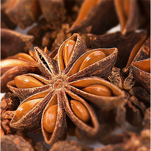 Star Anise Essential Oil - Incense Route