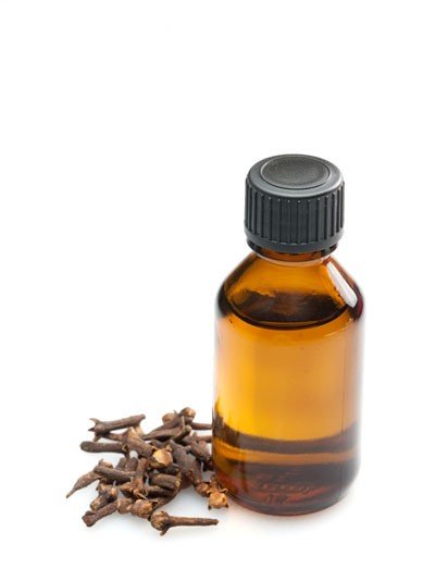 Clove Bud (Indonesia) Essential Oil