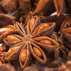 Star Anise Essential Oil - Incense Route