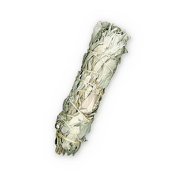 White Sage Bundle