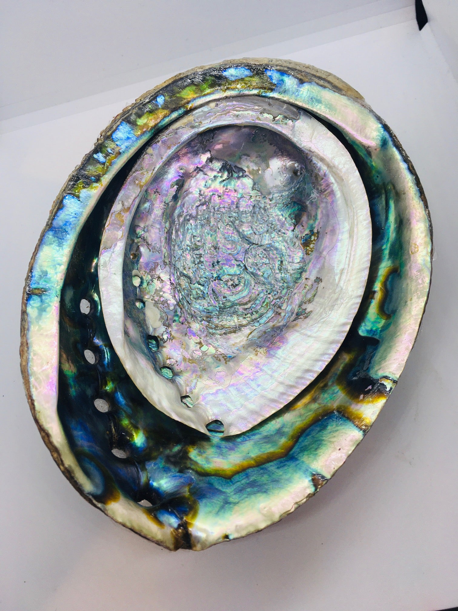 Abalone Shells - Incense Route