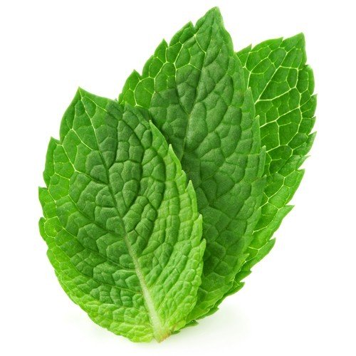 Spearmint Oil Organic Essential Oil