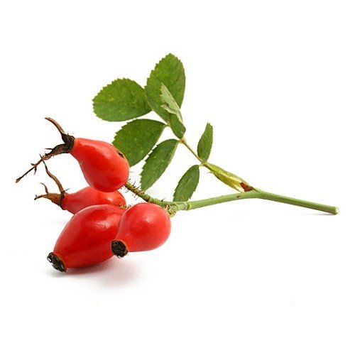 Rosehip (Extra Virgin) [1oz] - Incense Route