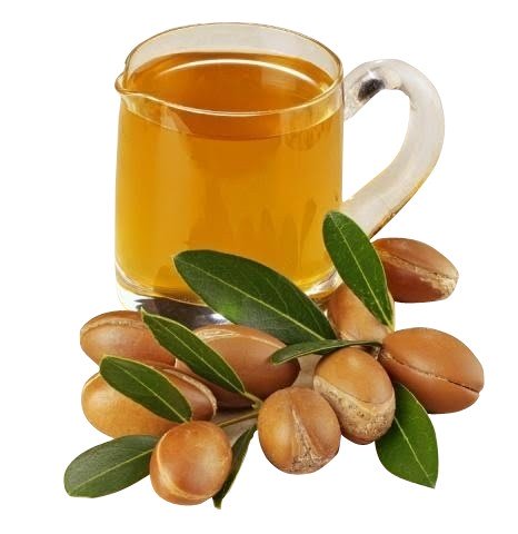 Argan Nut (Morocco) [2oz]