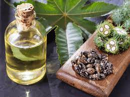Castor Oil (by Gallon) - Incense Route