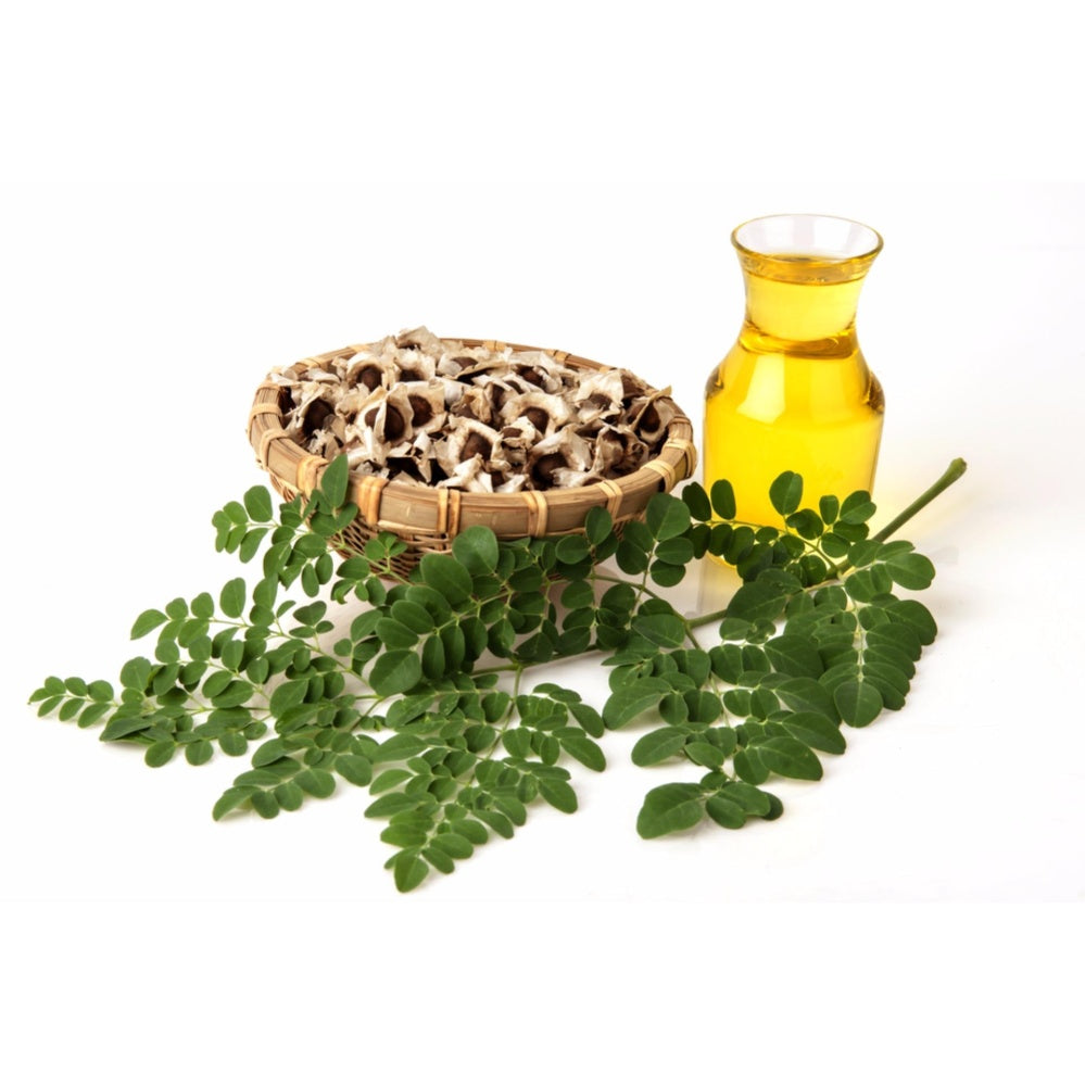 Moringa Essential Oil - Incense Route